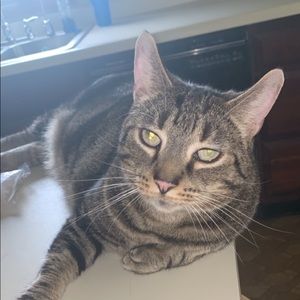 Meet your Posher, Caitlin